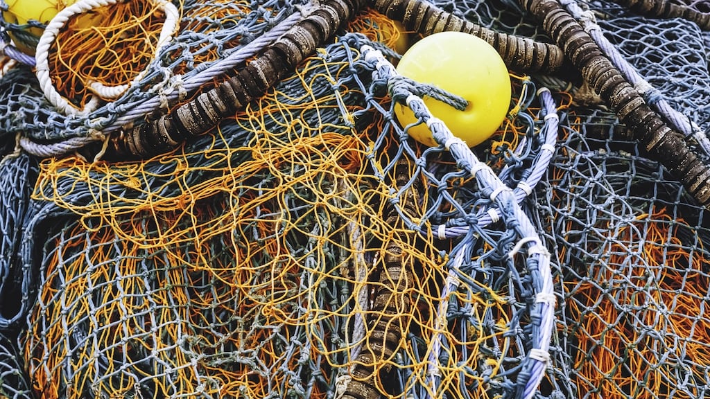 Mr Justice Anthony Barr said the court was satisfied an article of the Common Fisheries Policy provided a ‘clear mandatory obligation’ on the council when fixing total allowable catches for 2020 and beyond.