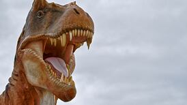 Colours of dinosaurs thrown into doubt by new UCC study