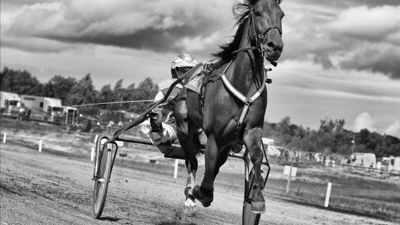 Hot to trot: A horse airborne at Portmarnock trotting track in August 2014. Photograph: Christine Taylor