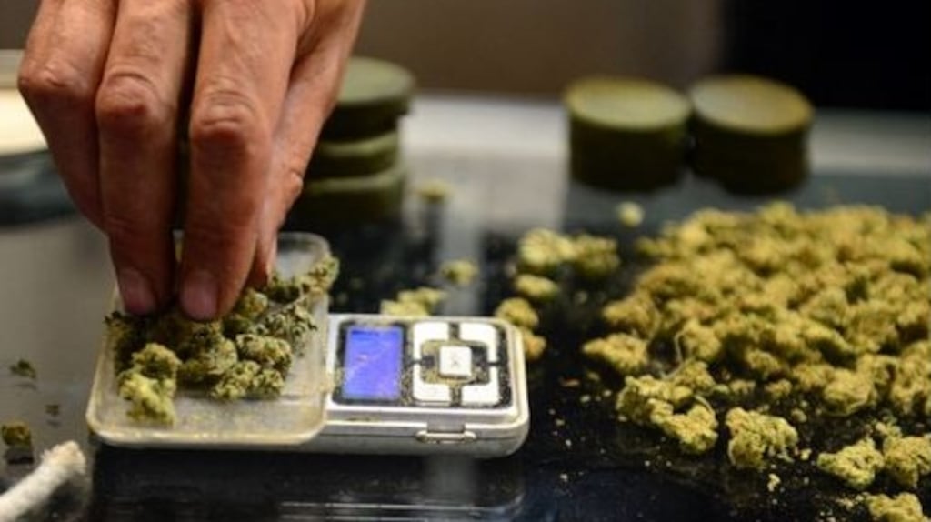 Cannabis for medicinal purposes is weighed for distribution (above). Dr Michael Harty (Independent) has said: “My main concern is that this Bill will open the door to the availability of cannabis for recreational use.” File photograph: Getty Images