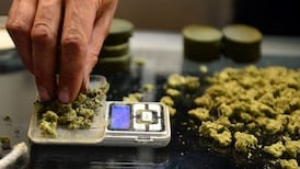 Some Ministers wary of any move making cannabis more available