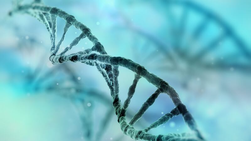 Being able to pinpoint a gene’s association with disease is important because it could open up new treatment options for difficult to treat conditions.