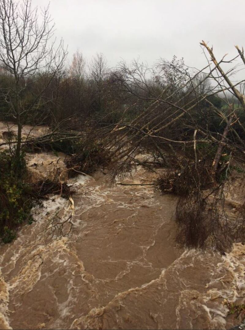 Photograph: Laois Fire and Rescue Twitter account