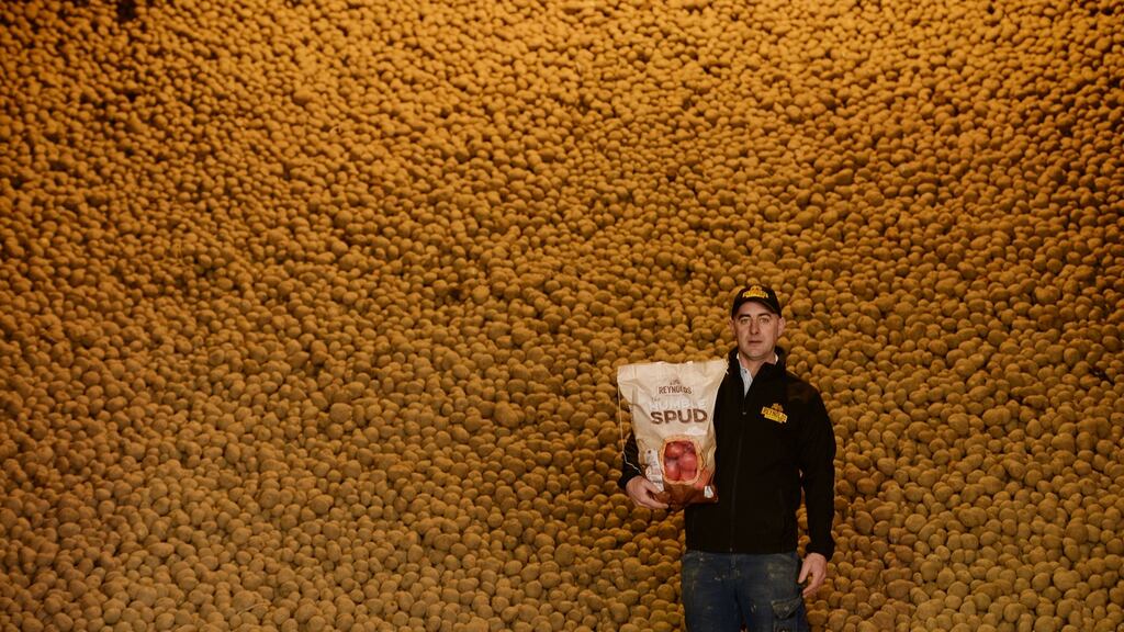 Paddy Reynolds, of Pat Reynolds and Sons Farm, in front of a storage bay holding chipping potatoes in Co Meath. Photograph: Alan Betson