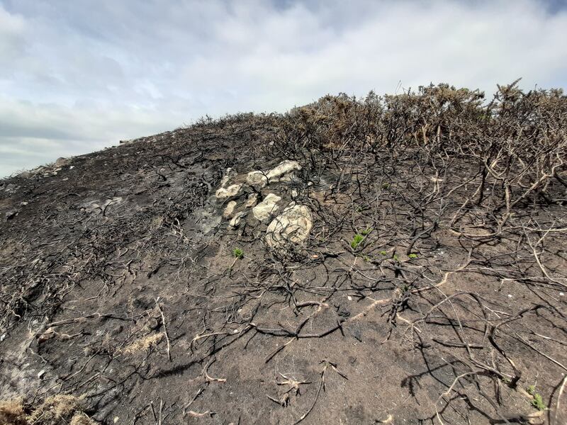 Damage to Howth Head after a fire in 2020