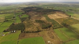 Anger and disappointment as Apple leaves the fields of Athenry