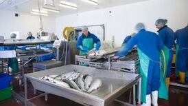 UN backs rights-based approach to small-scale fisheries