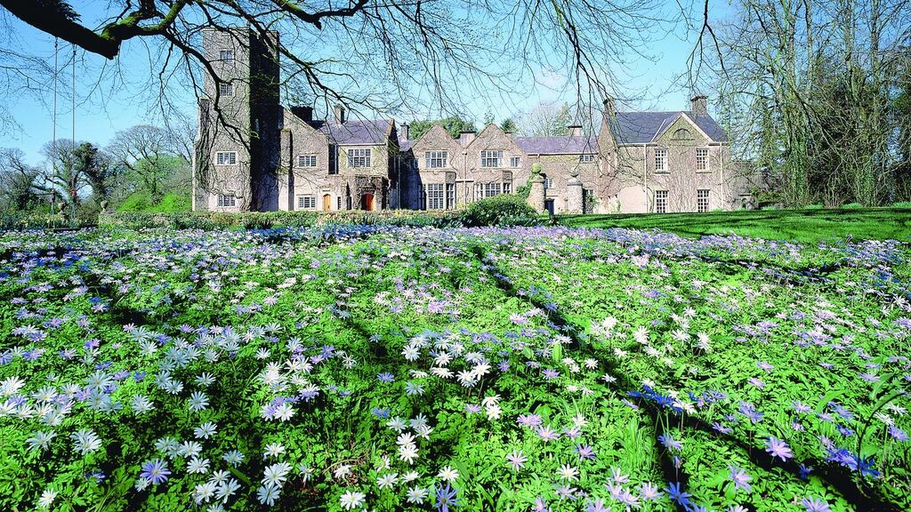 A party guest who sustained severe leg injuries when she fell on to a broken urn at Belle Isle Castle in Co Fermanagh has lost her case for £100,000 in damages.