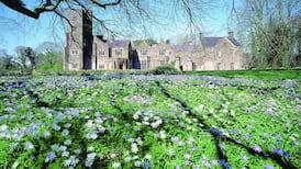 Woman who cut leg on smashed urn loses £100,000 claim