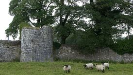 Apple says delay in Athenry data centre could jeopardise project