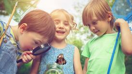 2019 summer camps in Ireland: guide to the biggest, best and beloved