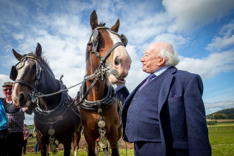 President Michael D Higgins pictured with horses, Ned and Ted, at the National Ploughing Championship. Photograph: Tom Honan