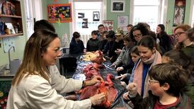 Blood, guts and Dumbledore make impressive science for primary school children