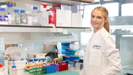 Digital twins for the win with aortas