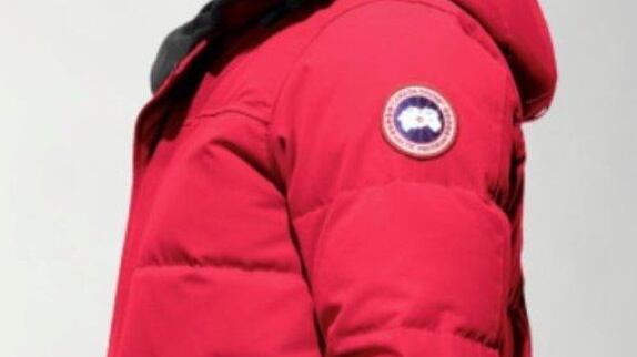 A Canada Goose jacket similar to the one Keane Mulready-Woods was wearing when he was last seen.  Photograph: An Garda
