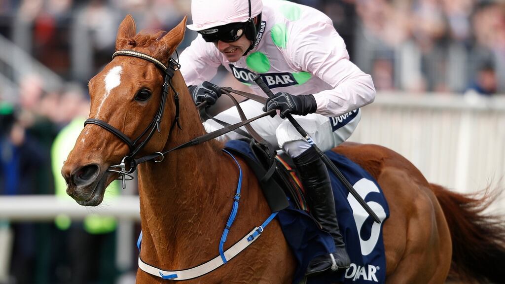 Ruby Walsh guided Annie Power to Champion Hurdle success last year before adding further glory at Aintree. Photograph: Alan Crowhurst/Getty Images