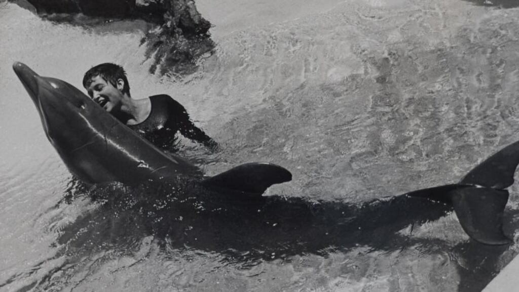 The girl who spoke to dolphins: Margaret Howe at the house in the Virgin Islands in 1964. Photograph: John Lilly Estate/BBC