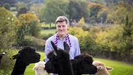 Want to succeed? Be prepared to pivot and persevere