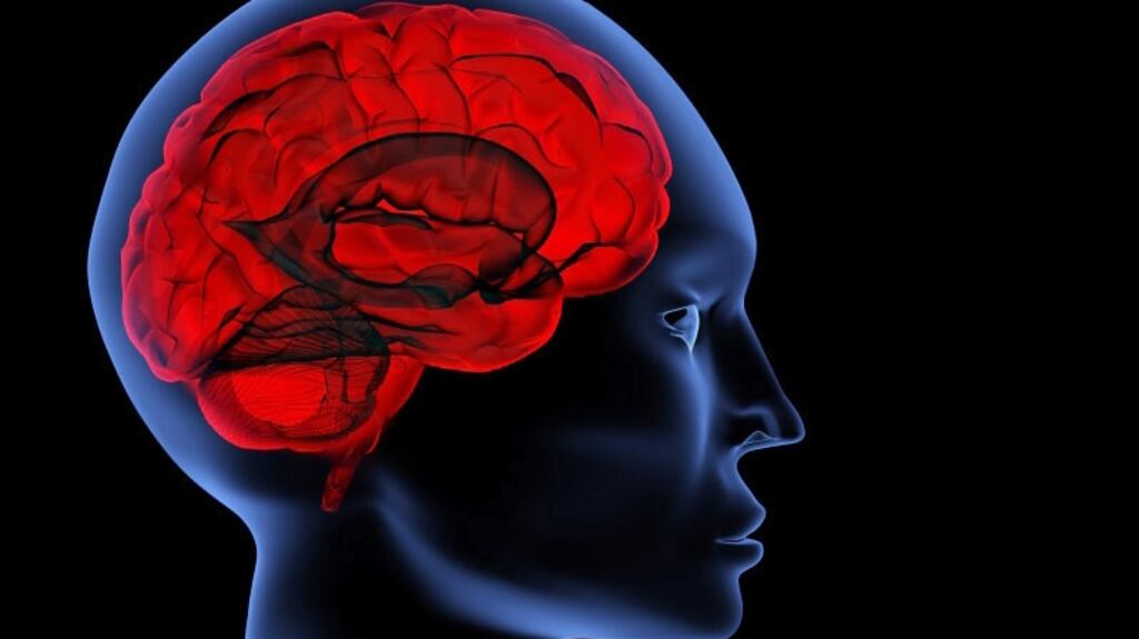 “It is expected this breakthrough will. . . lead to earlier diagnosis and better treatments for people with certain brain disorders,” says Dr Vijay Tiwari at Queen’s University Belfast.