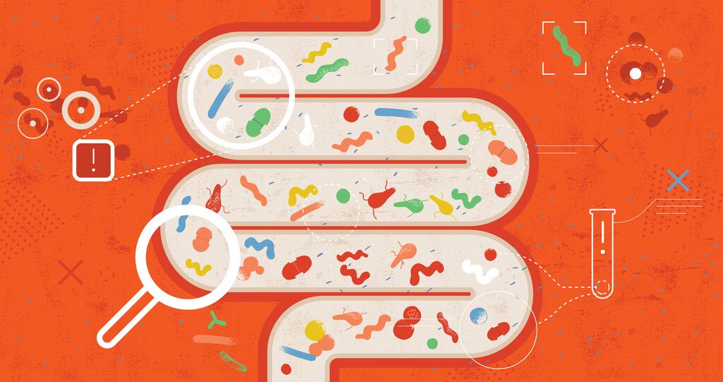 Microorganisms keep us healthy, so how do you ensure you have a healthy microbiome?