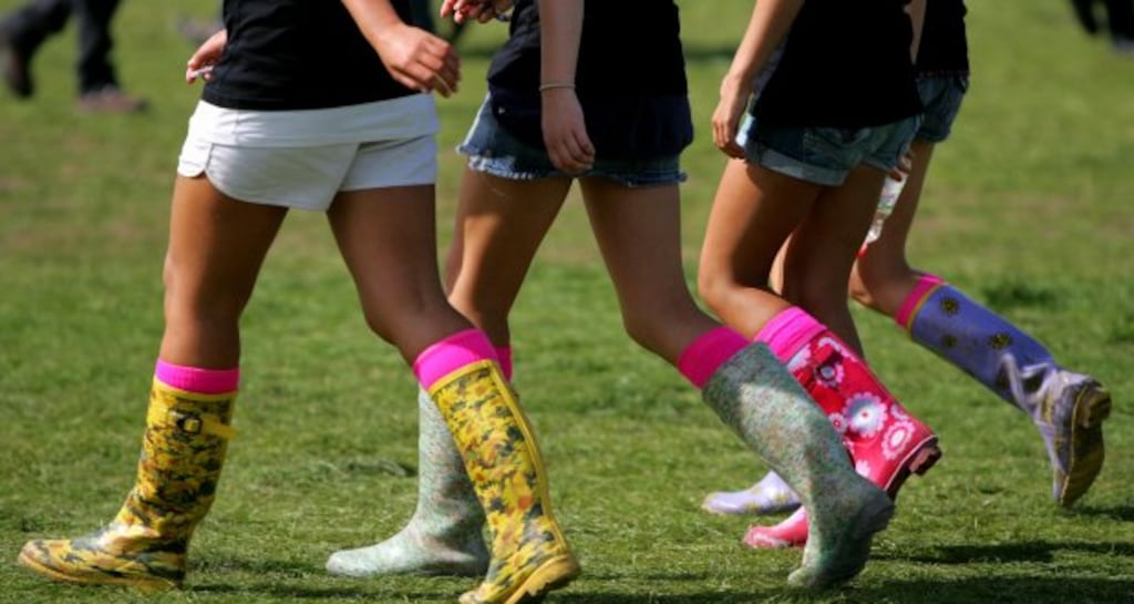 The Electric Picnic festival capacity could be increased to 47,000, its promoter has said.