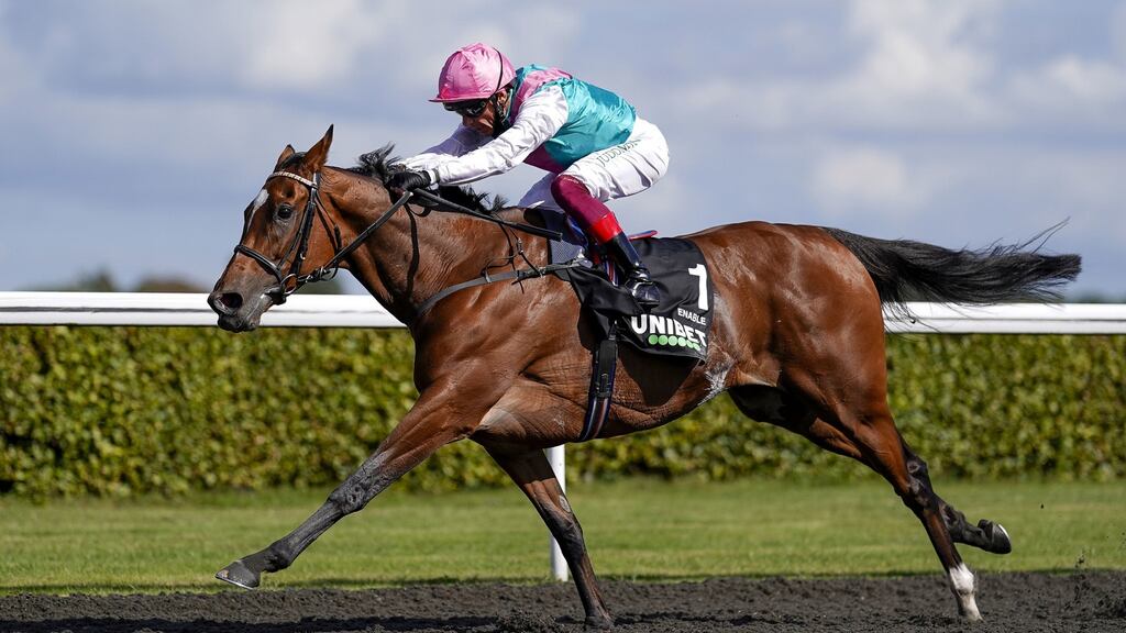 Enable has been retired from racing, Juddmonte has announced. File photograph: PA