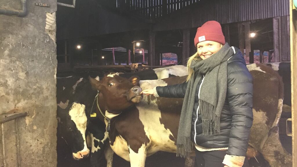 ‘Not a bad smell, just a very potent smell of farm; mud mixed with shite, rain and grass’