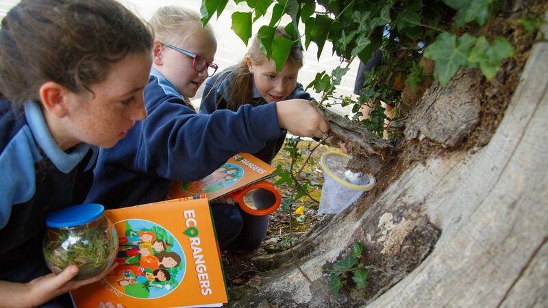 A record number of 200 schools and more than 20,000 children have participated in the programme to date