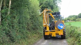 State’s plan for sustainable farming ‘lacks ambition’ on biodiversity