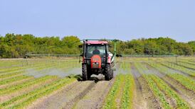 GM technologies are an important tool, Oireachtas hears