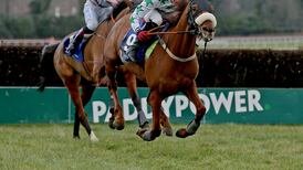 Colms Dream goes back to hurdles after four wins in chases