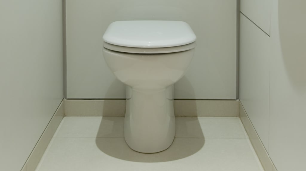 I have always thought the office toilet was more important than one might think and last week I found some research that backs up my hunch