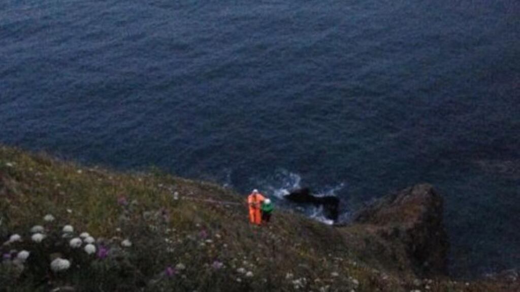 An image from the Coast Guard showing the boy being brought to the top of the cliff.