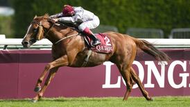 Ballydoyle duo to take Arc chance