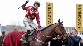 Minella Indo to continue Cheltenham preparations with Navan outing on Sunday