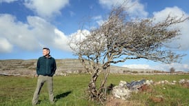 When it comes to nature restoration plans, EU states will look to the Burren Programme. We should do the same
