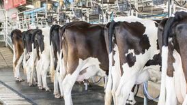 Synthetic dairy developer warns of over-production of milk in Ireland