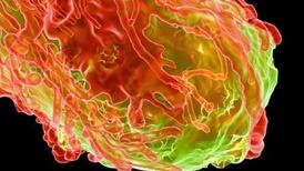 Cancer discovery may lead to bespoke treatment trials in two years