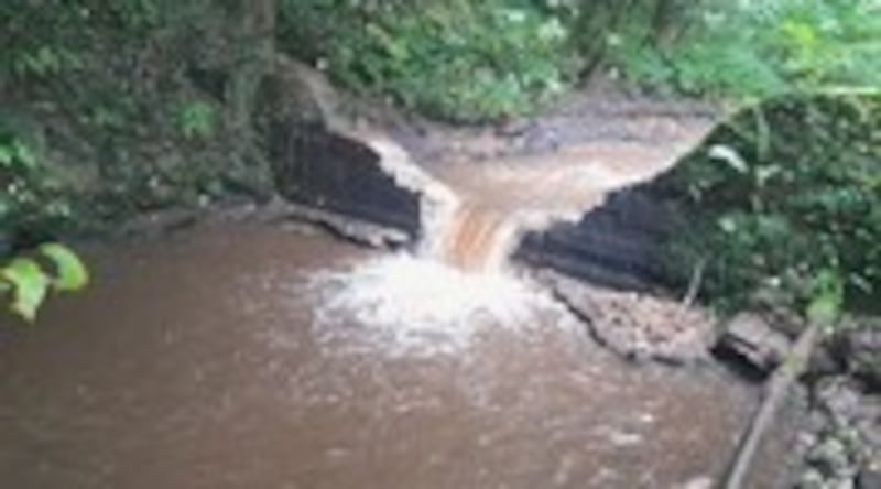 Removal of old weir on River Terrig in Wales has opened up spawning ground for migratory fish.