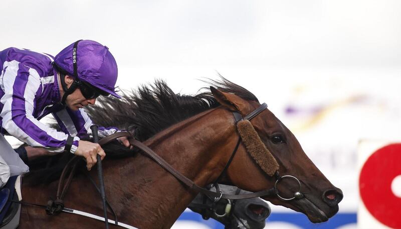 Hydrangea sprang a 20-1 surprise in the Coolmore Matron Stakes, beating her stable companion Winter by a head. Photograph: Alan Crowhurst/Getty Images