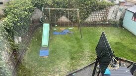 Your gardening questions answered: How do I deal with overgrown ivy?