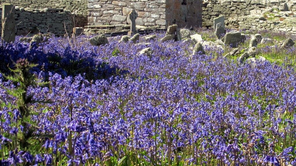 Early Christian ruins on Inishmurray Island, Co Sligo. Photograph: Joe McGowan