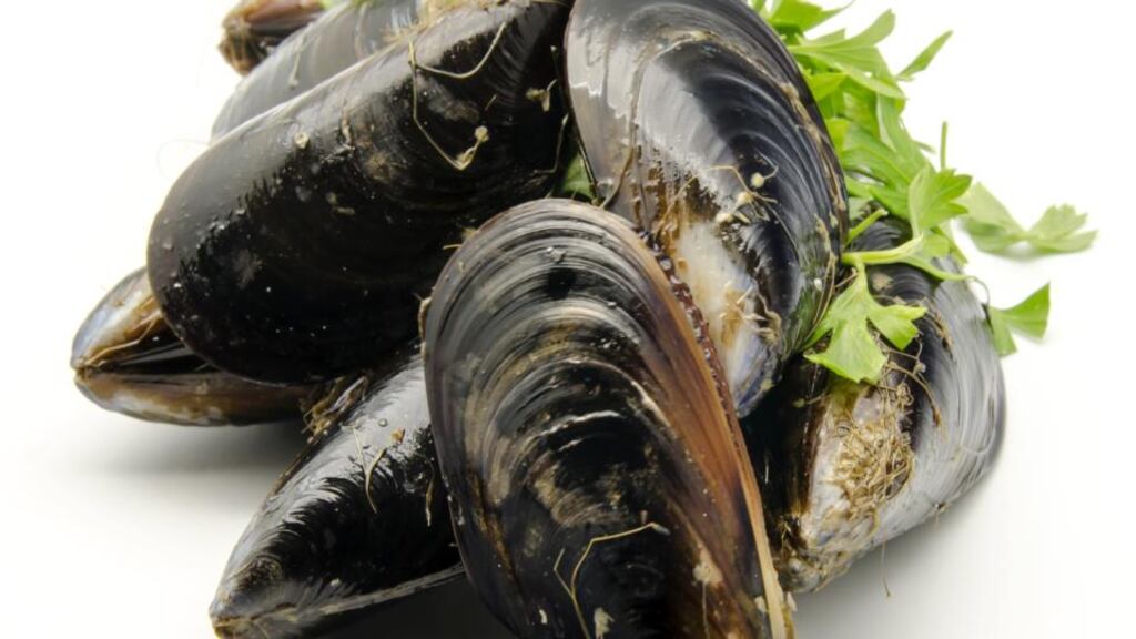 The soup, from Kush Organic Seafarms, is made from organic rope mussels from Kenmare Bay and is one of 34 products nominated for the Prix d’Elite.