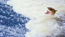 Fisheries agency seized 14.5km of illegal net in 2016