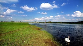 Legislation diverting Shannon water to Dublin flawed, Government told