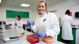 Irish researchers catch up with the ‘speed gene’ in thoroughbred horses