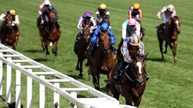 O’Brien aiming to get 2019 campaign off to a flier with Magic Wand