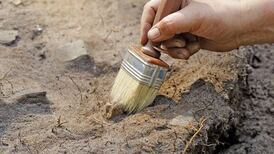 Skeletal human remains found in Wexford may date to Iron Age