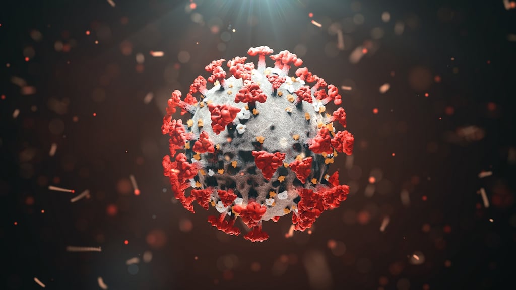 It is the first time a vaccine has been shown to reduce transmission of the virus. Photograph: iStock