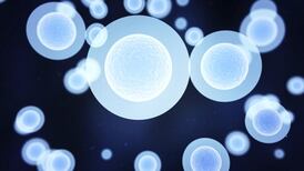 Ireland’s first stem cell manufacturing centre approved at NUI Galway